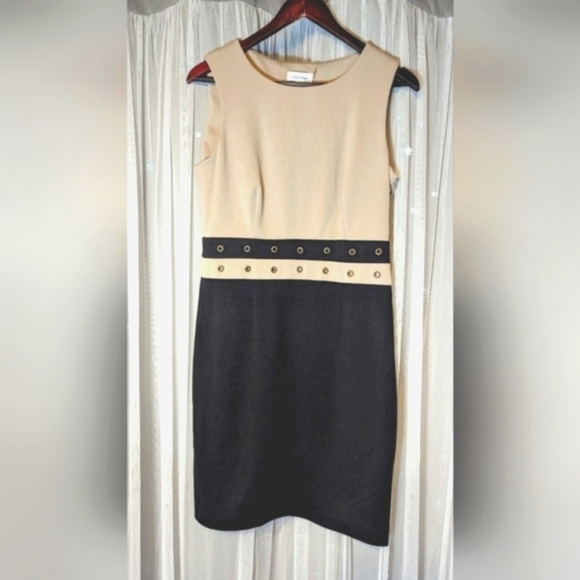 Calvin Klein Light Tan Beige and Black Dress Size 8 - Picture 2 of 11